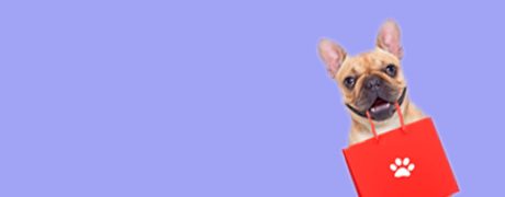 Pet